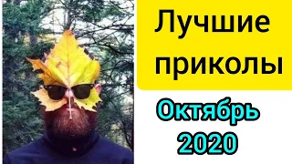 Лучшие приколы октябрь 2020! Подборка приколов за октябрь 2020!