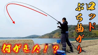 【離島生活#6】離島初の釣りで竿が強烈に曲がる！？