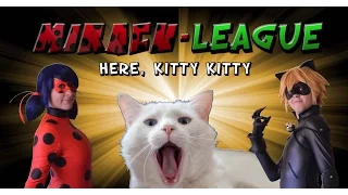 Miracu-League: Episode 1: Here, Kitty Kitty