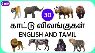 காட்டு விலங்குகள் 🐆 🦁 🐘 🐅 | Wild Animals English Tamil | kattu vilangugal | kids educational videos