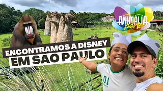 ANIMÁLIA PARK, A DISNEY BRASILEIRA | PARQUE INCRÍVEL EM SÃO PAULO