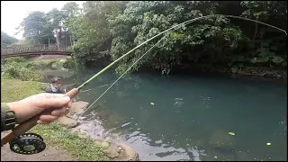 萬盛溪空鉤飛釣烏魚遊記