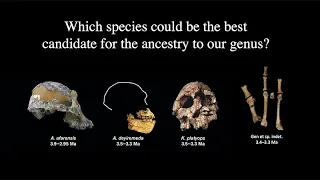 CARTA: Future of Fossil-Based Human Origins Research with Yohannes Haile-Selassie