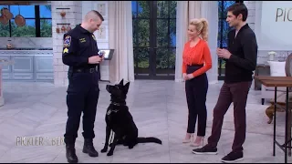 Meet Jett the Police Dog! - Pickler & Ben