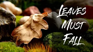 Peaceful music, Relaxing music, Instrumental Music "leaves must fall" by Tim Janis