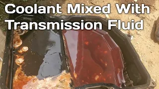 How Fix Coolant Mixed With Transmission Fluid | Coolant inside Transmission Fluid