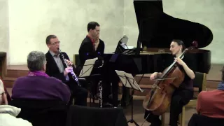 Alexander Zemlinsky, Trio op.3 d-moll, Allegro ma non troppo