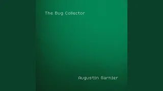 The Bug Collector (Piano)