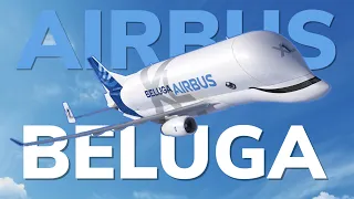 Todo sobre: Airbus Beluga | El avión que transporta otros aviones.