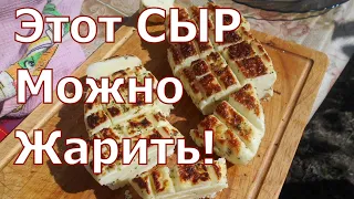 Сыр Халуми из козьего молока