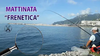 Finalmente si ritorna a pesca, BOLOGNESE dalla scogliera in una mattinata frenetica!!!!