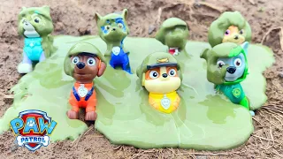 Paw Patrol Mighty Pups Covered in Swamp Mud! Can You Help Us Clean Them?