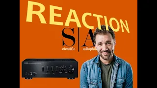Yamaha A-S801 Reaction - @robinsonbrand  #RecoveringAudiophile