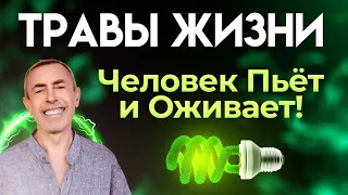 Травы Жизни - Человек Пьёт и Оживает!