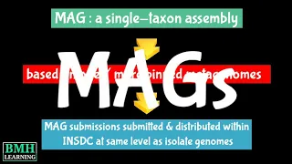 Metagenome Assembled Genomes | Binning | Single Taxon Assembly |