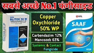 Top Quality Fungicide | Copper Oxychloride, Carbendazim, Mancozeb | UPL SAAF, Syngenta Blue Copper