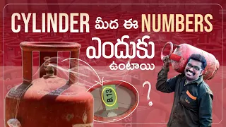 SUSHANT CASE UPDATE | TOP INTERESTING FACTS IN TELUGU | TELUGU FACTS | Q2KV#68