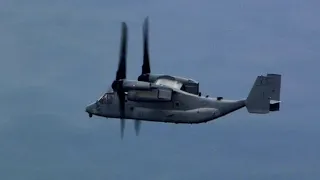 Raw Video: Osprey Landing In Portsmouth, New Hampshire