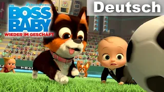 Die Babys gegen die Hot Dogs | THE BOSS BABY: WIEDER IM GESCHÄFT | NETFLIX