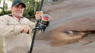 LE PLUS GROS POISSON D'EAU DOUCE DE LA PLANÈTE ! - Cyril Chauquet