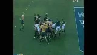 Boks wallop Wallabies 53-8