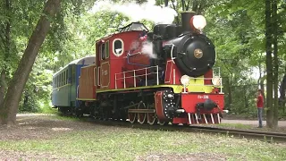 2016 Київська дитяча залізниця, паровоз Гр-336 / Kiev children's railway, steam engine Gr-336