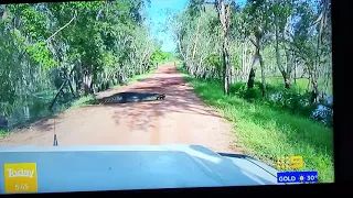 Giant Crocodile spotted in Kakadu Australia January 2021