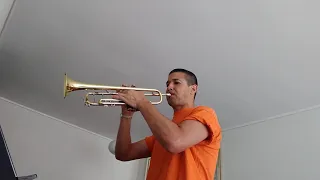 Netherlands anthem - Nederland volkslied: Wilhelmus van Nassouwe [trumpet - trompet]