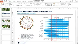 ВЕБИНАР "МИНЕРАЛЬНОЕ ПИТАНИЕ КУКУРУЗЫ В ВОПРОСАХ И ОТВЕТАХ"