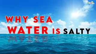 Why sea water is salty?