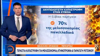 Χαριστική βολή η φωτιά για την Εύβοια που πλήττεται από την ανεργία|Κεντρικό Δελτίο Ειδήσεων 11/8/21