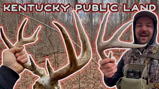 Scouting/Shed Hunting Kentucky Public Land | Buck Sign EVERYWHERE