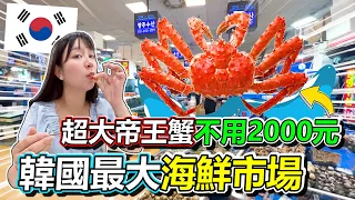 這邊絕對是"海鮮天堂"  全韓國最大的 "鷺梁津水產市場"  在這裡帝王蟹居然不到2000元 ?!?!