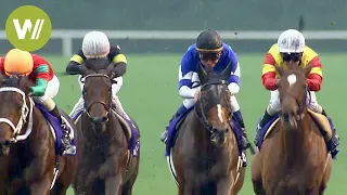 La folie des courses de chevaux au Japon - Christophe Lemaire à la Japan Cup