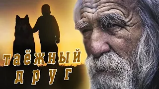 🐺Мой дикий таёжный друг ВОЛК! Случай в тайге!