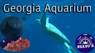 Georgia Aquarium