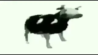 Polish cow with different SFX