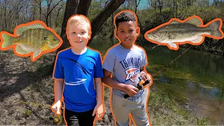 Food Chain Challenge! From Creek to Pond!