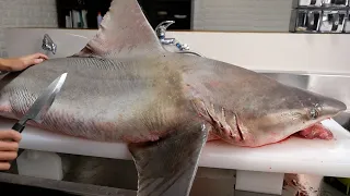 Massive Shark Broken Down and Something Weird Comes Out of It