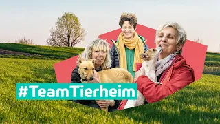 #TeamTierheim – Wir können nicht alle retten, aber wir retten die Welt eines Tieres | Folge 1 | MDR