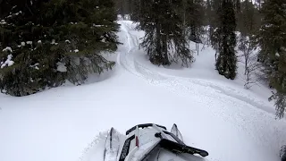 Kelkkailua hiipinän metsissä, Backcountry snowmobiling at kirovsk, hibiny, Russia.  2019-2020