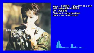 小室哲哉 - GRAVITY OF LOVE (Digitalian is eating breakfast)