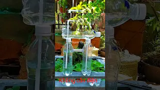 Desktop Fountain Without Electricity With Plastic Bottle #12 - DEMO | #shorts