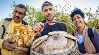 Living with the Mushroom People of Romania