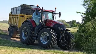 SENÁŽE 2023 | New Holland FR 850, 3x Case IH & John Deere 8210