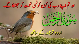 Surah rahman qari abdul basit with Urdu hindi translation | Surah Rahman with no ads | Surah rehman