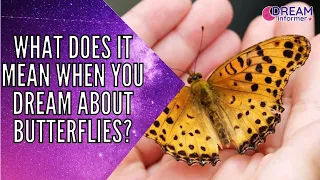 What Does It Mean When You Dream About Butterflies