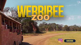 Melbourne Vlog | Werribee Open Range Zoo