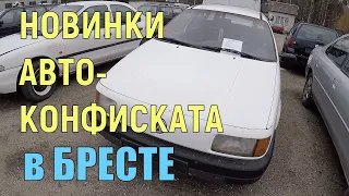 РАСПРОДАЖА КОНФИСКОВАННОЙ АВТО-ТЕХНИКИ в Бресте. 14.02.19. ПОЯВИЛИСЬ ДВА НОВЫХ ДИЗЕЛЬНЫХ ПАССАТА...