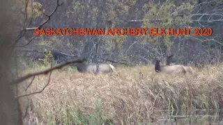 Saskatchewan Archery Elk Hunt 2020